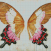 Vintage Butterfly Wings Diamond Painting