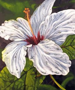 White Hibiscus Diamond Paintings