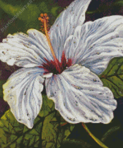 White Hibiscus Diamond Paintings