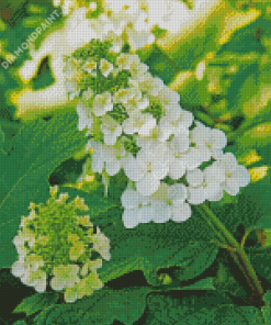 White Hydrangea Flowers Diamond Painting