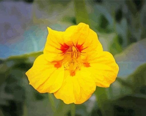 Yellow Nasturtium Plant Diamond Paintings