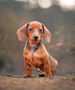 Adorable Dachshund Miniature Diamond Painting