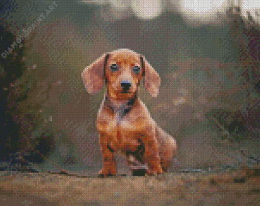 Adorable Dachshund Miniature Diamond Painting