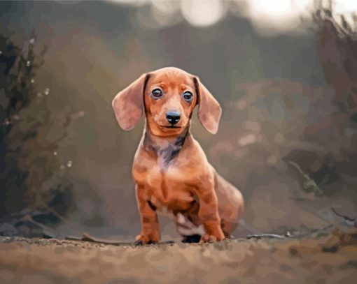 Adorable Dachshund Miniature Diamond Painting