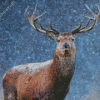 Adorable Deer In Snow Diamond Paintings