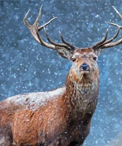 Adorable Deer In Snow Diamond Paintings