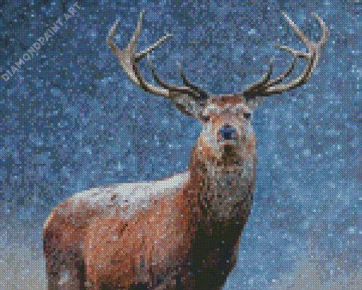 Adorable Deer In Snow Diamond Paintings