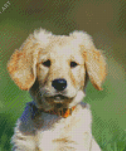 Adorable Golden Puppy Diamond Painting