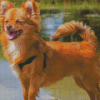 Adorable Pomchi Diamond Painting