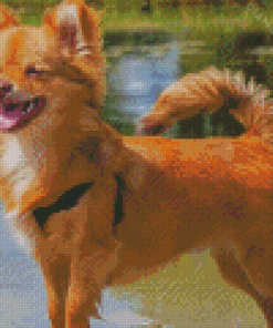 Adorable Pomchi Diamond Painting