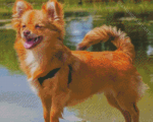 Adorable Pomchi Diamond Painting