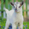 Adorable White Goat Diamond Painting