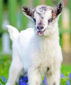 Adorable White Goat Diamond Painting