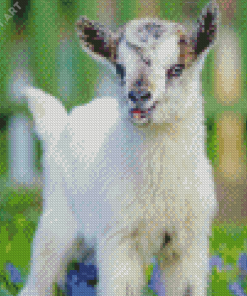 Adorable White Goat Diamond Painting