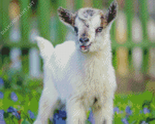 Adorable White Goat Diamond Painting