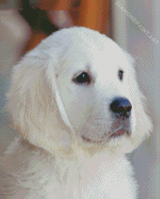 Adorable White Golden Retriever Puppy Diamond Painting