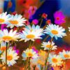 Aesthetic Field Of Daisies Diamond Paintings