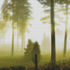 Aesthetic Foggy Forest Diamond Paintings