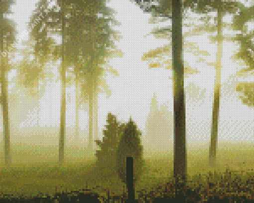 Aesthetic Foggy Forest Diamond Paintings