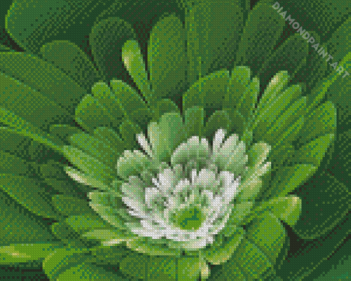 Aesthetic Green Flower Diamond Paintings