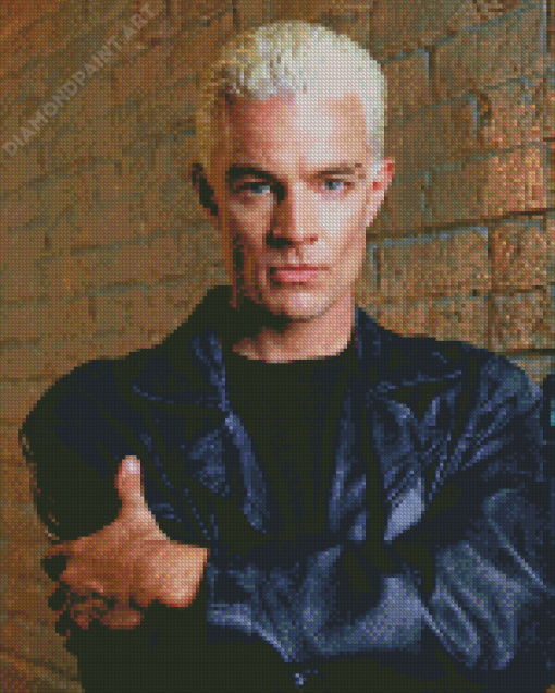 Aesthetic James Wesley Marsters Diamond Paintings