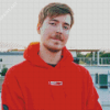 Aesthetic MrBeast Diamond Painting