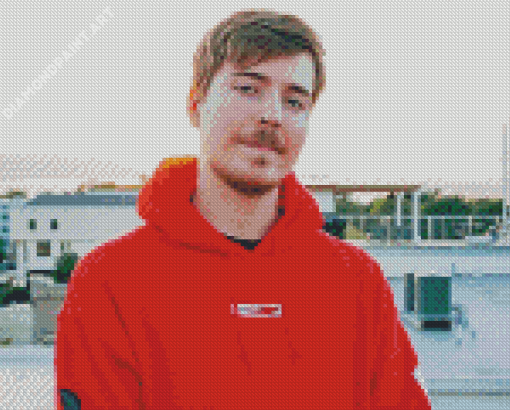 Aesthetic MrBeast Diamond Painting