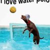 Aesthetic Water Polo Art Diamond Paintings