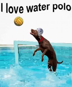 Aesthetic Water Polo Art Diamond Paintings