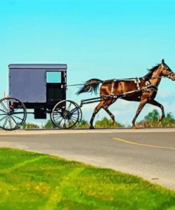 Aesthetic Amish Buggy Diamond Painting