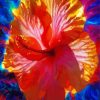 Aesthetic Orange Hibiscus Flower Diamond Paintings