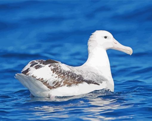 Albatross Bird In Sea Diamond Paintings