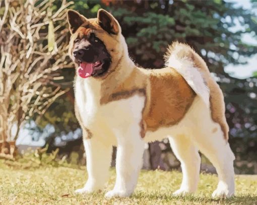 American Akita Diamond Painting