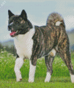 American Akita Dog Diamond Painting