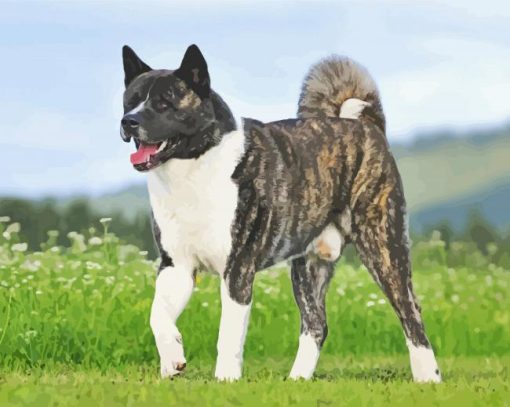 American Akita Dog Diamond Painting