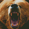 Angry Bear Wildlife Diamond Painting