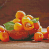 Apricots Fruits Diamond Painting