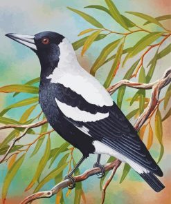 Australian Magpie On Stick Diamond Paintings