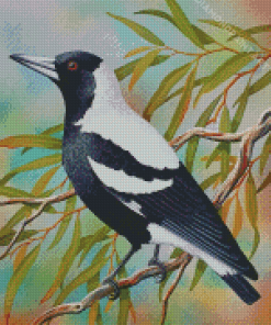 Australian Magpie On Stick Diamond Paintings