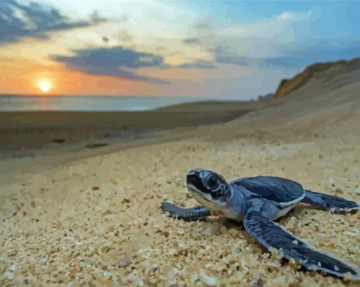 Baby Sea Turtle Diamond Painting