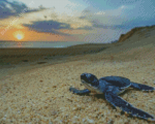 Baby Sea Turtle Diamond Painting