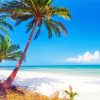 Beach Tropical Palm Diamond Painting