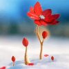 Beautiful Red Spring Flower In Snow Diamond Paintings