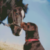 Black Horse And Dog Diamond Paintings