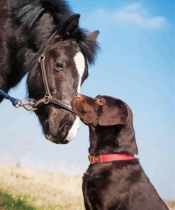 Black Horse And Dog Diamond Paintings