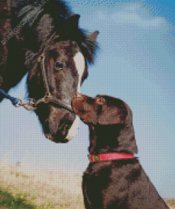 Black Horse And Dog Diamond Paintings