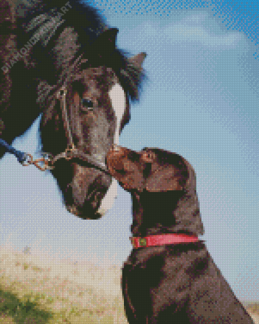 Black Horse And Dog Diamond Paintings