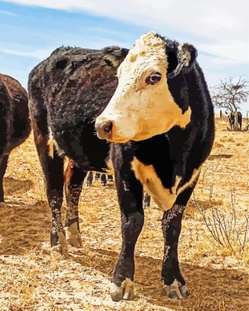 Black Texas Cattle Diamond Paintings