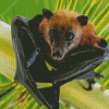 Black Winged Bat Diamond Paintings