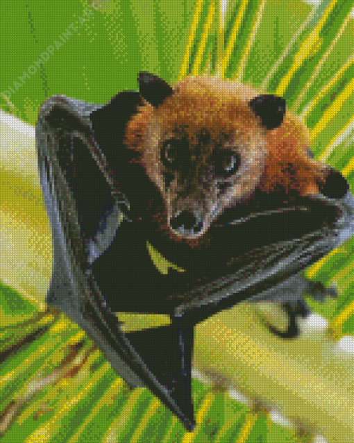 Black Winged Bat Diamond Paintings